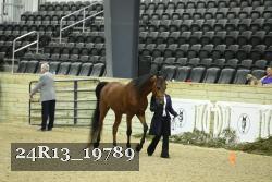 24R13_19789 thumbnail