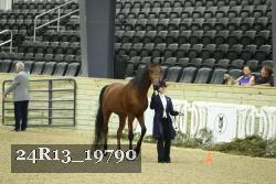 24R13_19790 thumbnail