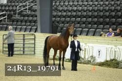 24R13_19791 thumbnail