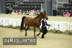 24R13_19792 thumbnail