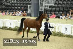 24R13_19793 thumbnail