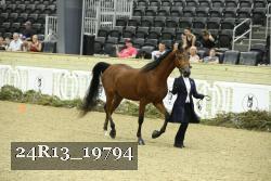 24R13_19794 thumbnail