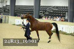 24R13_19801 thumbnail