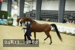 24R13_19802 thumbnail