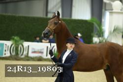 24R13_19803 thumbnail