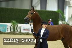24R13_19804 thumbnail