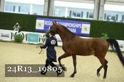 24R13_19805 thumbnail