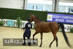 24R13_19806 thumbnail