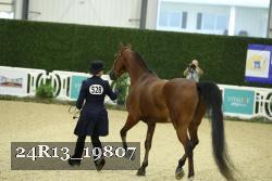 24R13_19807 thumbnail