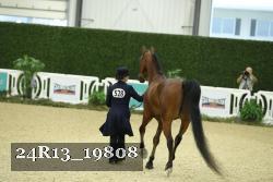 24R13_19808 thumbnail