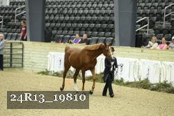 24R13_19810 thumbnail