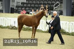 24R13_19816 thumbnail