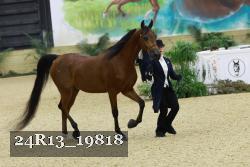 24R13_19818 thumbnail