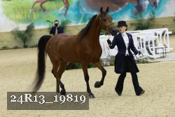 24R13_19819 thumbnail