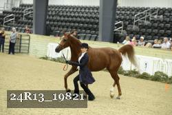 24R13_19821 thumbnail