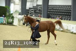 24R13_19822 thumbnail