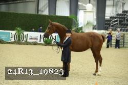 24R13_19823 thumbnail