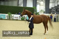 24R13_19824 thumbnail