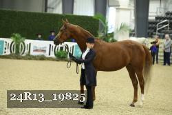 24R13_19825 thumbnail