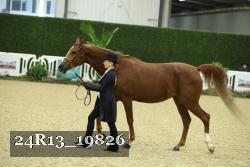 24R13_19826 thumbnail