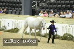 24R13_19831 thumbnail