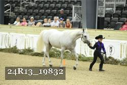 24R13_19832 thumbnail