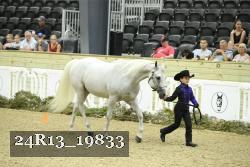 24R13_19833 thumbnail