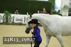 24R13_19847 thumbnail