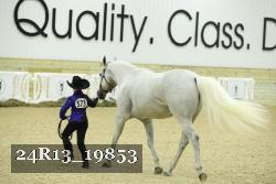 24R13_19853 thumbnail