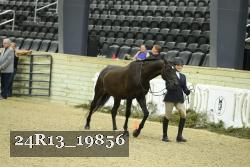 24R13_19856 thumbnail