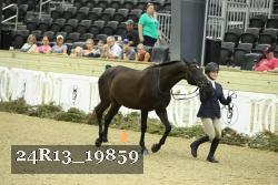 24R13_19859 thumbnail