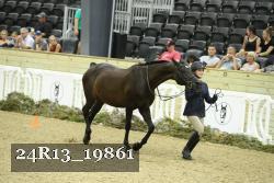 24R13_19861 thumbnail