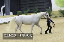 24R13_19863 thumbnail