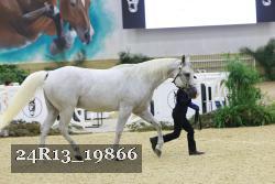 24R13_19866 thumbnail