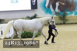 24R13_19867 thumbnail