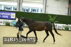 24R13_19875 thumbnail