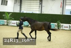24R13_19877 thumbnail
