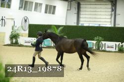 24R13_19878 thumbnail