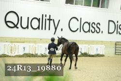24R13_19880 thumbnail