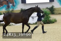 24R13_19890 thumbnail