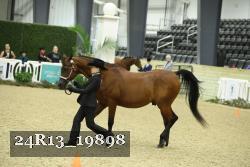24R13_19898 thumbnail