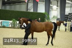 24R13_19899 thumbnail
