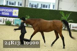 24R13_19900 thumbnail