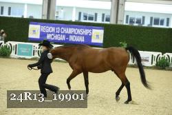 24R13_19901 thumbnail