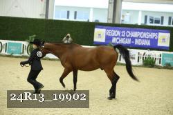24R13_19902 thumbnail