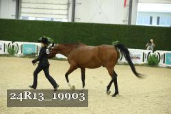24R13_19903 thumbnail