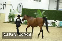 24R13_19904 thumbnail