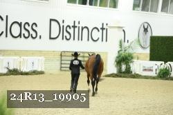 24R13_19905 thumbnail