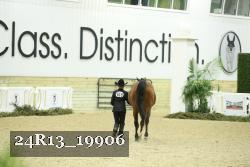 24R13_19906 thumbnail