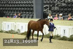 24R13_19908 thumbnail